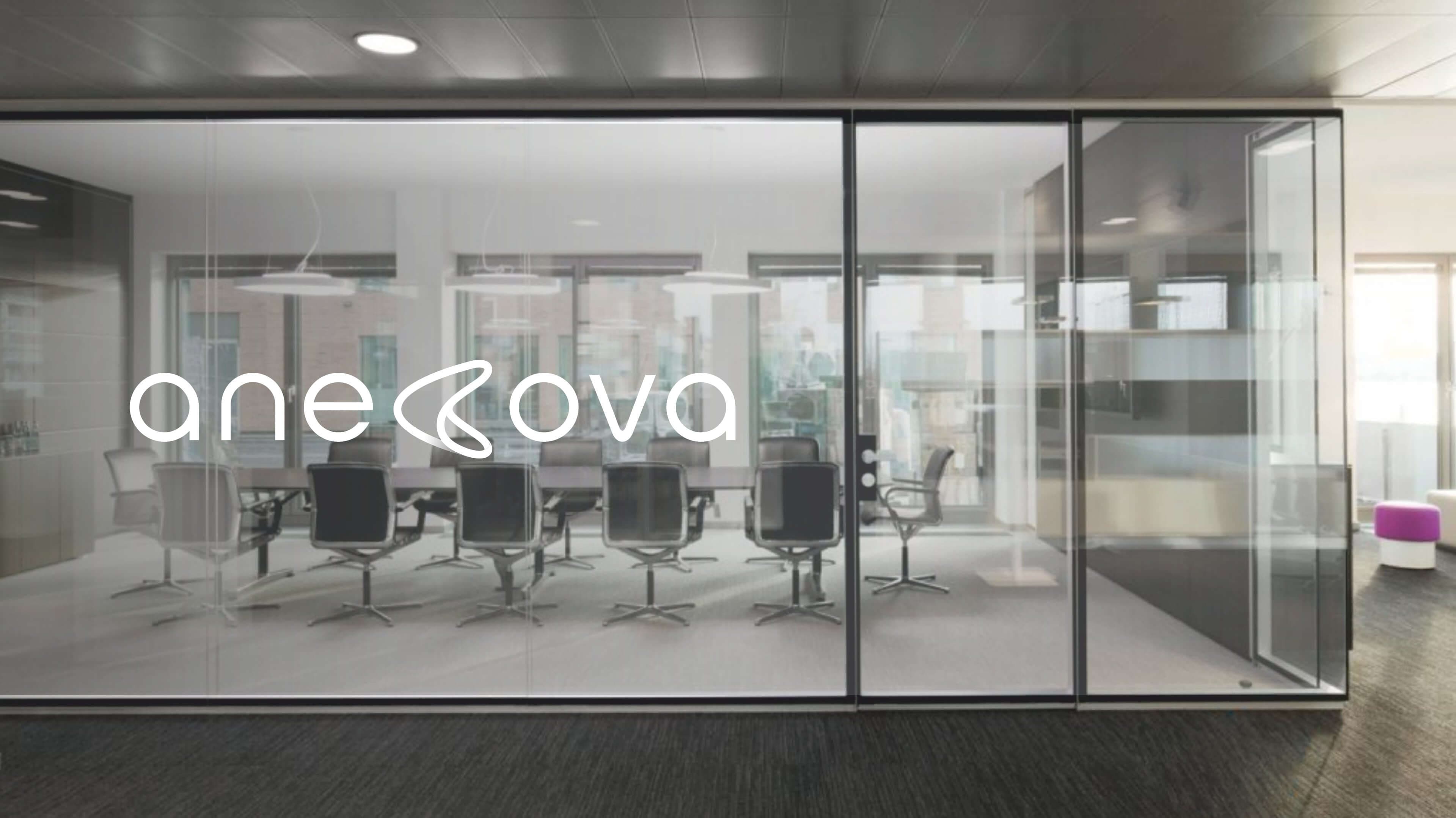 Anecova image 24