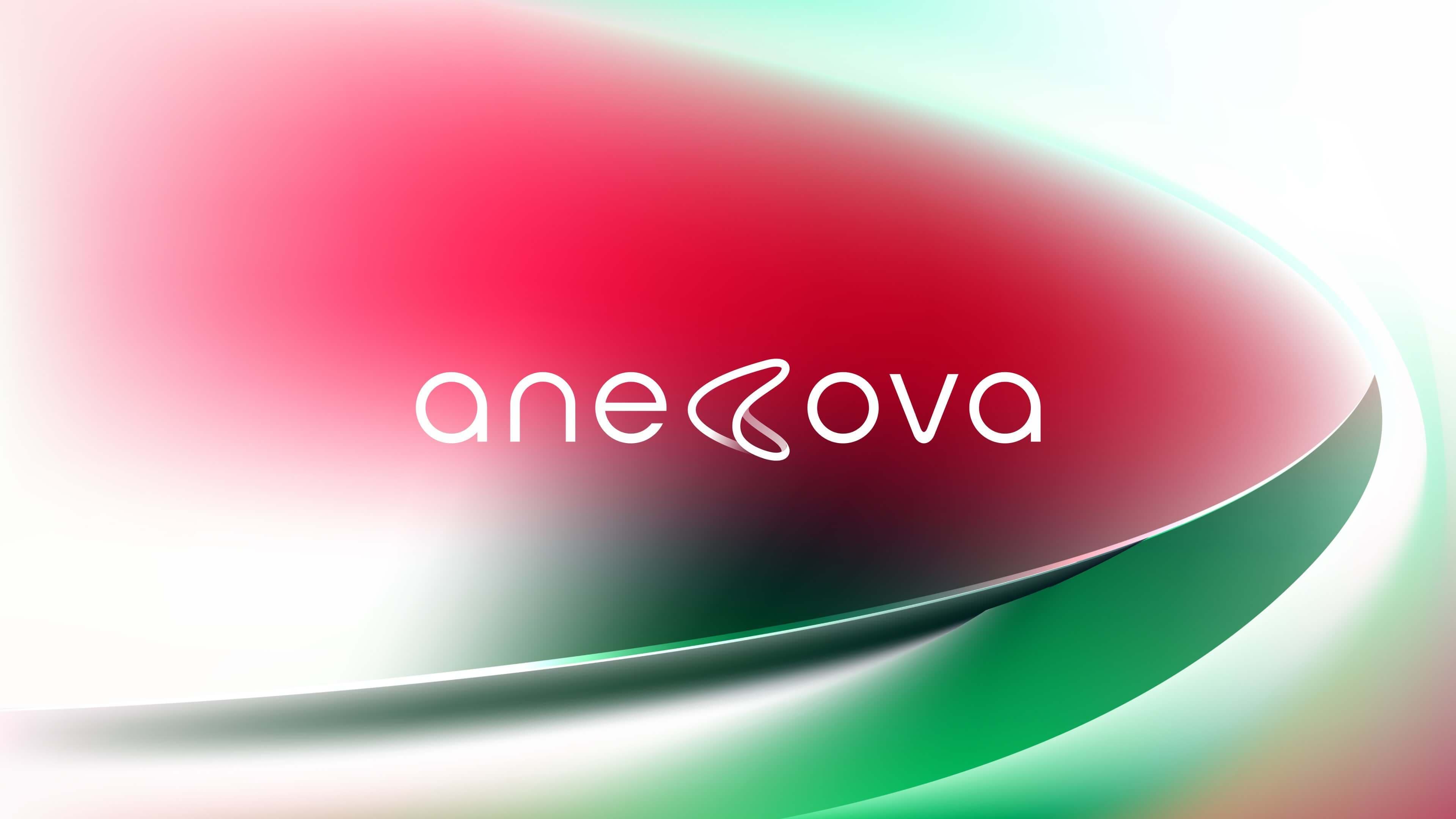 Anecova image 33