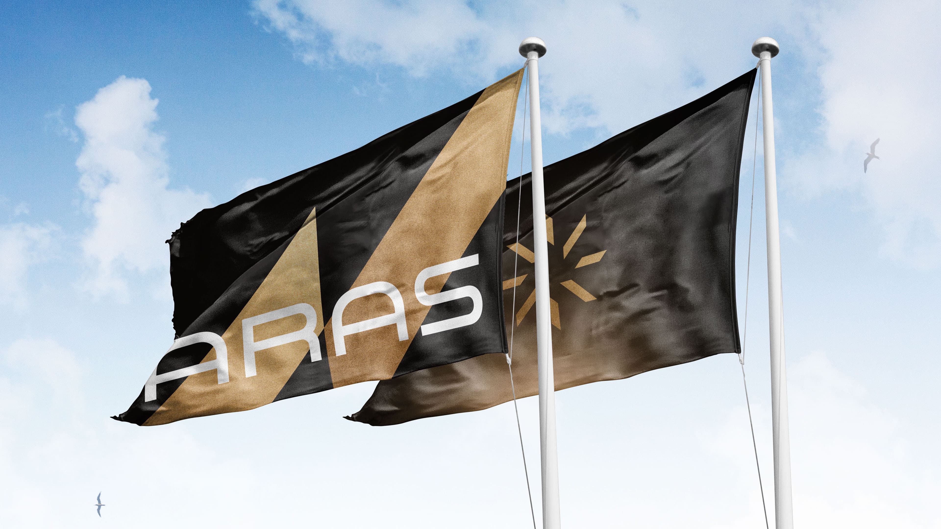 Aras Group