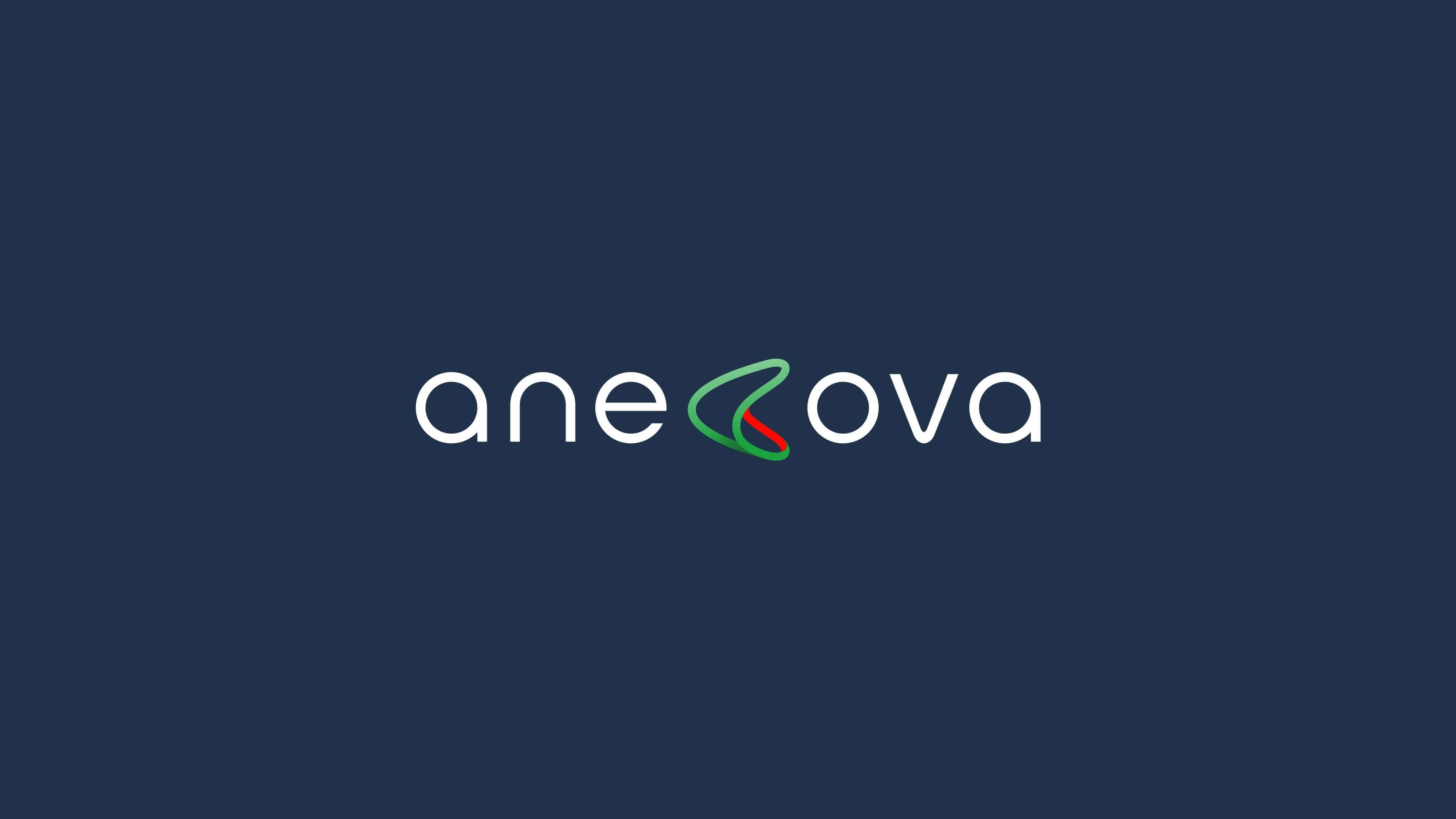 Anecova image 11